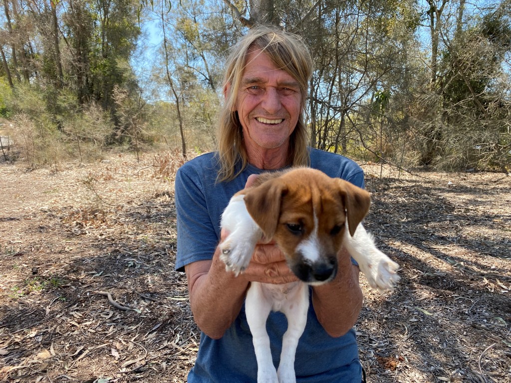 Surging prices of four-legged&nbsp;love