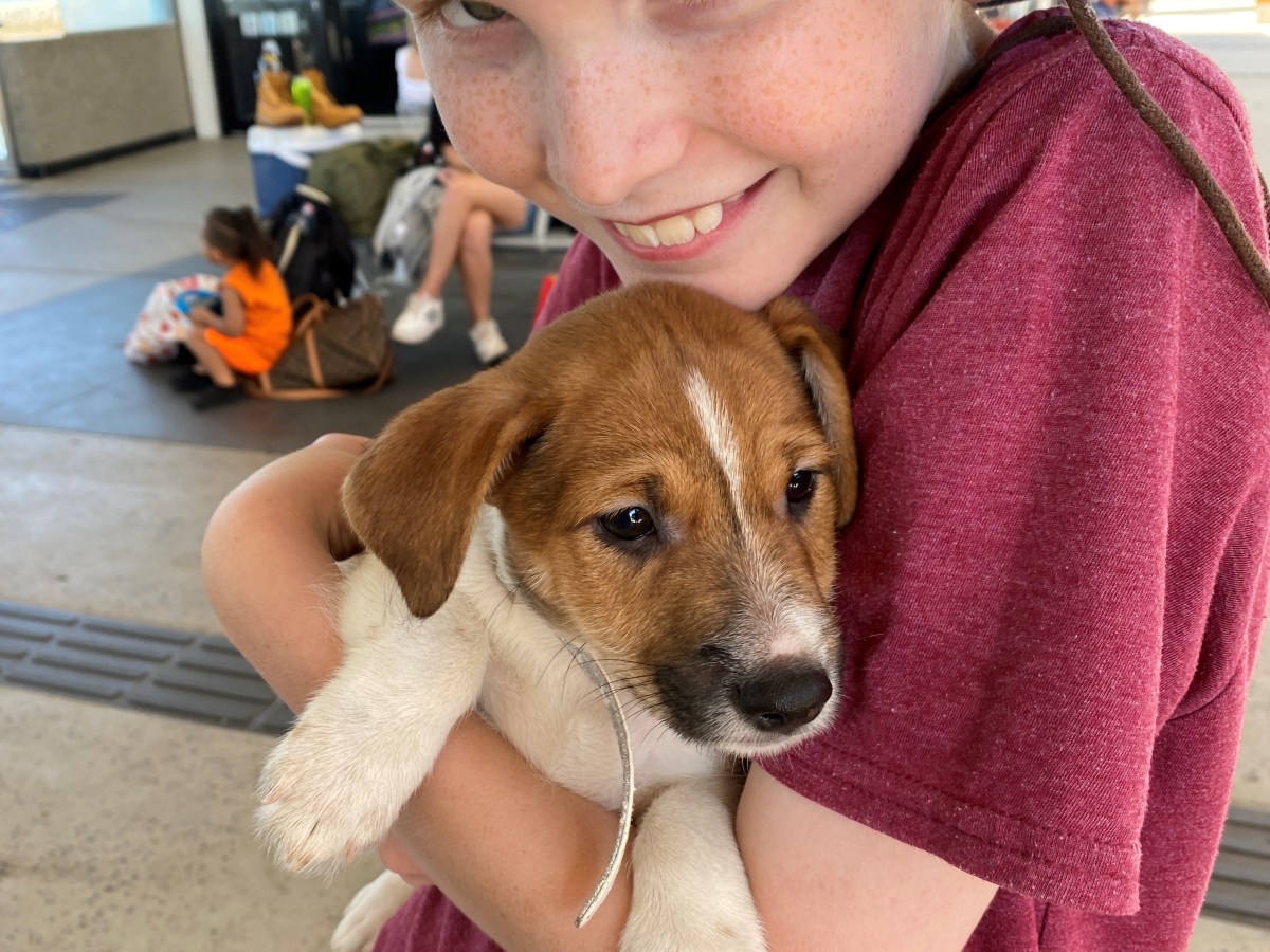 Caring for your new&nbsp;fur-baby